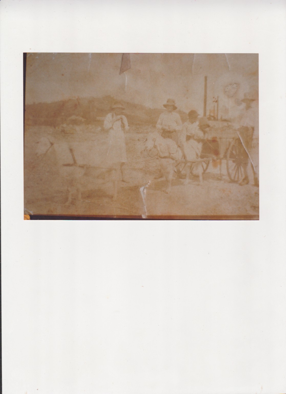 Harry Briskey and his horse team at the old Donaldson Pub on the Cloncurry-Normanton Track, 9 October 1910