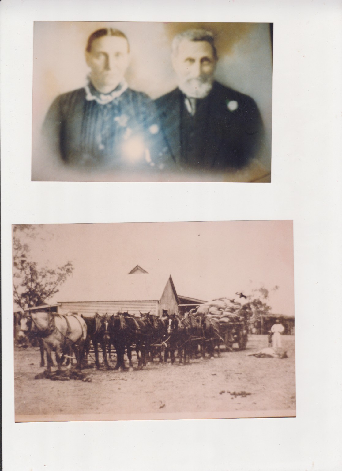 Historic photographs of Maria and Gustav Briskey and the family of Harry Briskey and Mary Ellen Smith